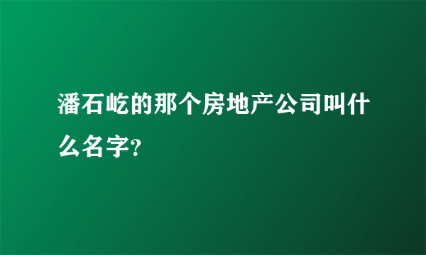 潘石屹的那个房地产公司叫什么名字？