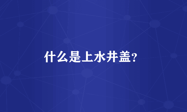 什么是上水井盖？