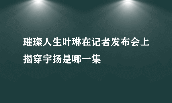 璀璨人生叶琳在记者发布会上揭穿宇扬是哪一集