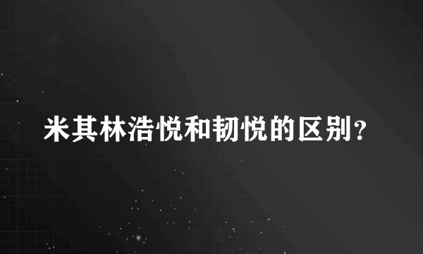 米其林浩悦和韧悦的区别？