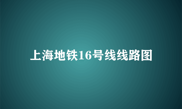 上海地铁16号线线路图