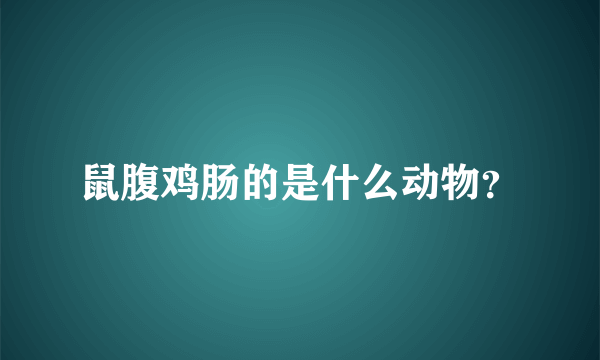 鼠腹鸡肠的是什么动物？