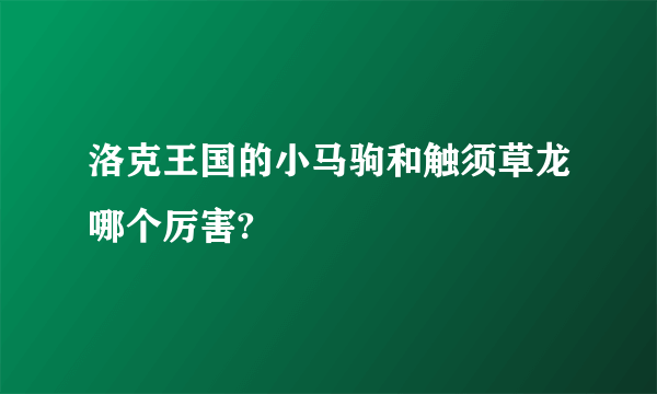 洛克王国的小马驹和触须草龙哪个厉害?
