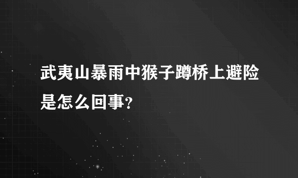 武夷山暴雨中猴子蹲桥上避险是怎么回事？