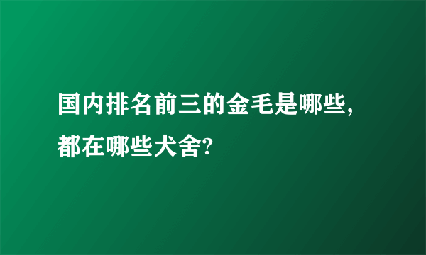 国内排名前三的金毛是哪些,都在哪些犬舍?