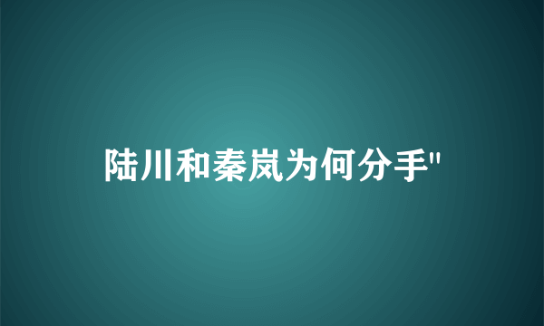 陆川和秦岚为何分手
