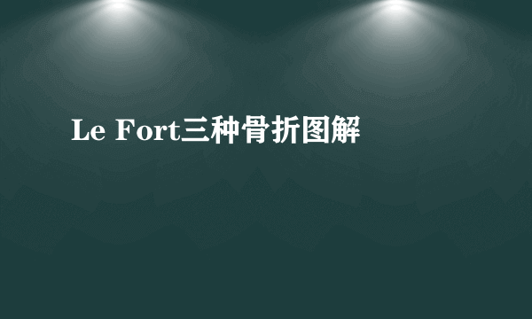 Le Fort三种骨折图解