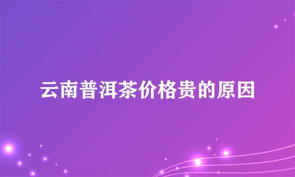 云南普洱茶价格贵的原因