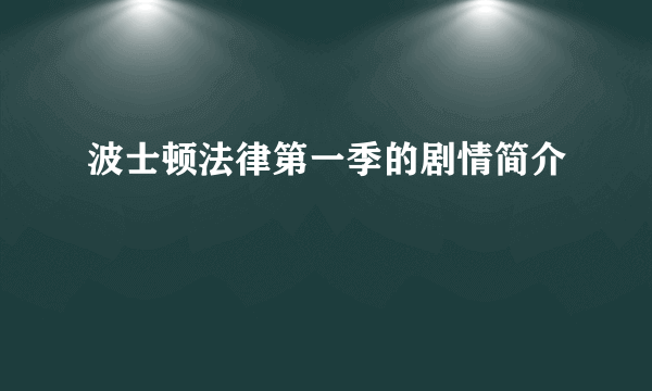 波士顿法律第一季的剧情简介