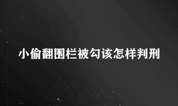 小偷翻围栏被勾该怎样判刑