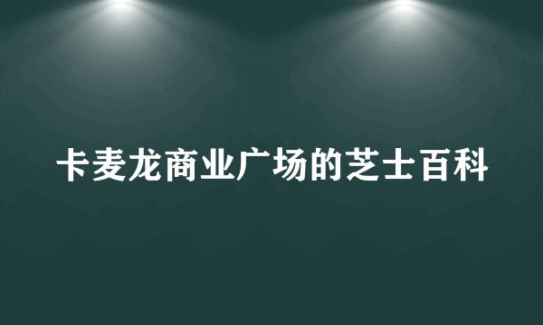 卡麦龙商业广场的芝士百科