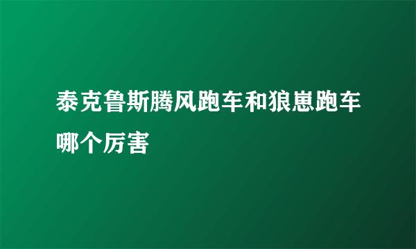 泰克鲁斯腾风跑车和狼崽跑车哪个厉害