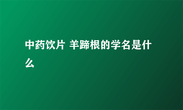 中药饮片 羊蹄根的学名是什么