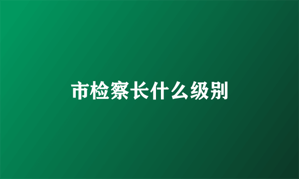 市检察长什么级别