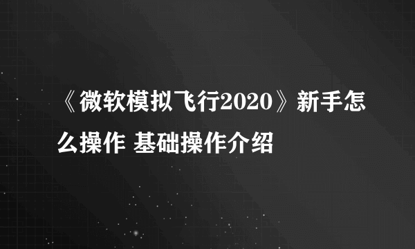 《微软模拟飞行2020》新手怎么操作 基础操作介绍