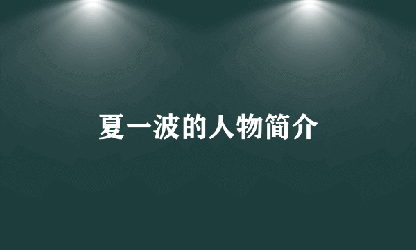 夏一波的人物简介