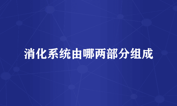 消化系统由哪两部分组成