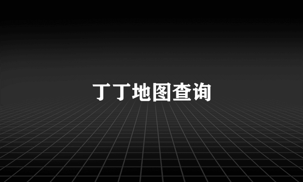 丁丁地图查询