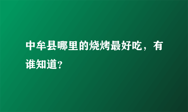 中牟县哪里的烧烤最好吃，有谁知道？