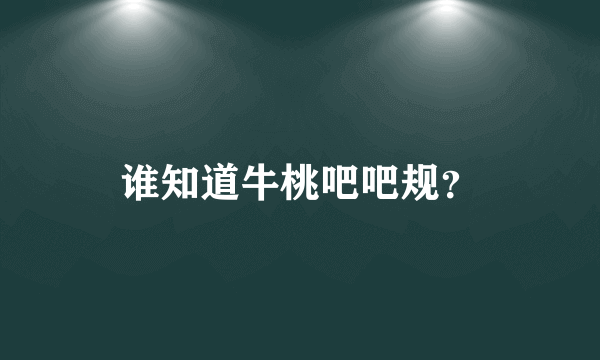 谁知道牛桃吧吧规？