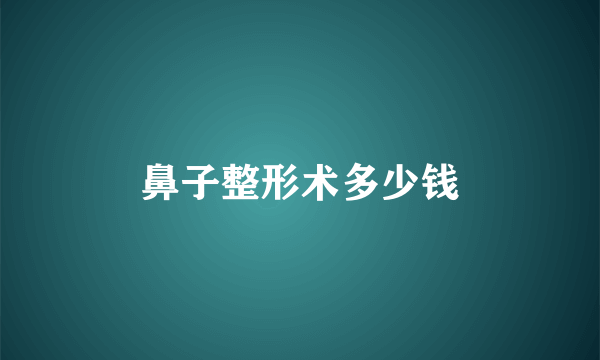 鼻子整形术多少钱