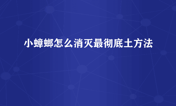 小蟑螂怎么消灭最彻底土方法