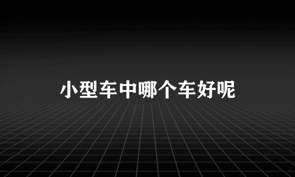 小型车中哪个车好呢