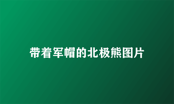带着军帽的北极熊图片