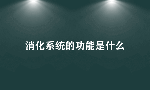 消化系统的功能是什么
