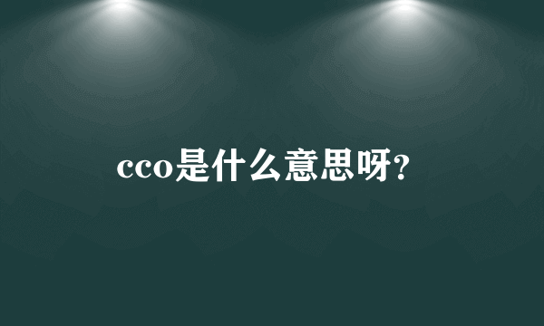 cco是什么意思呀？