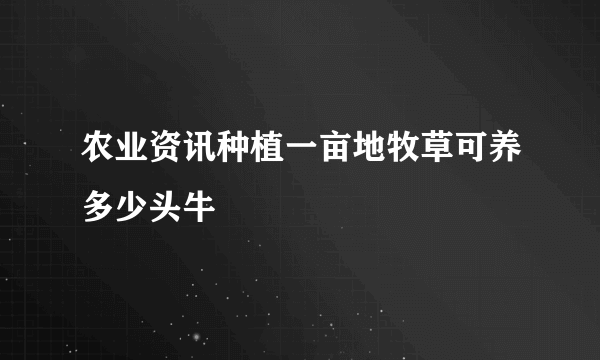 农业资讯种植一亩地牧草可养多少头牛