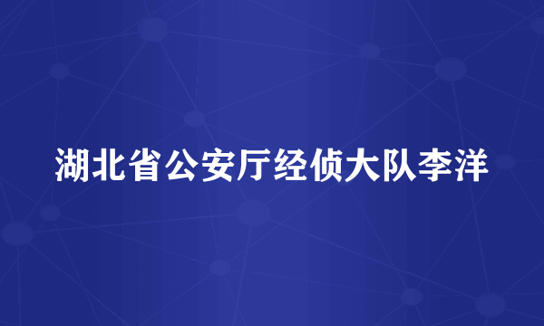 湖北省公安厅经侦大队李洋