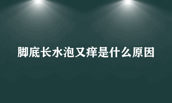 脚底长水泡又痒是什么原因