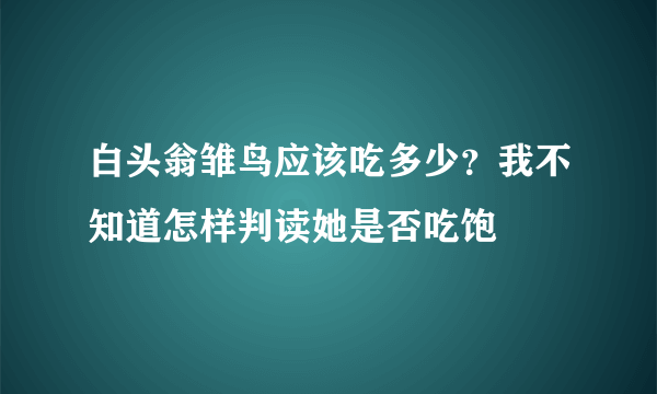 白头翁雏鸟应该吃多少？我不知道怎样判读她是否吃饱
