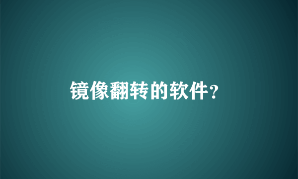 镜像翻转的软件？