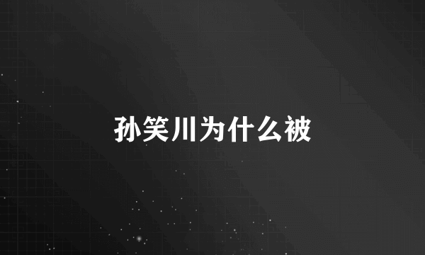 孙笑川为什么被