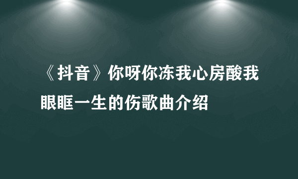 《抖音》你呀你冻我心房酸我眼眶一生的伤歌曲介绍