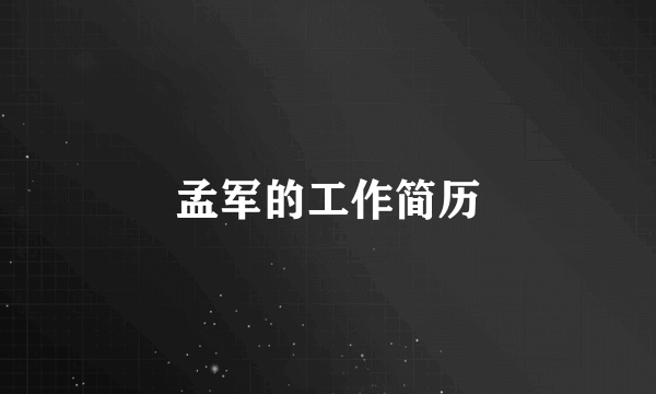 孟军的工作简历