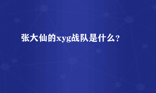 张大仙的xyg战队是什么？