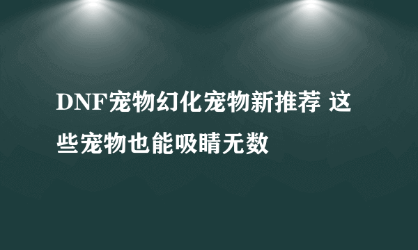 DNF宠物幻化宠物新推荐 这些宠物也能吸睛无数