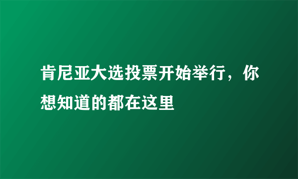 肯尼亚大选投票开始举行，你想知道的都在这里