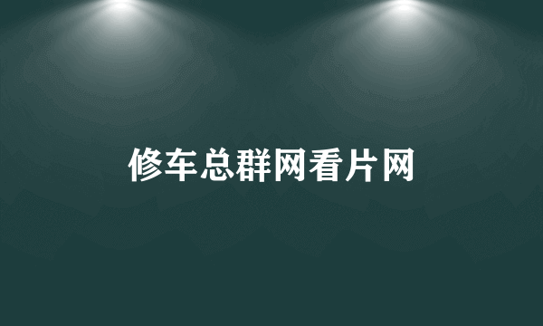 修车总群网看片网