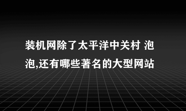装机网除了太平洋中关村 泡泡,还有哪些著名的大型网站
