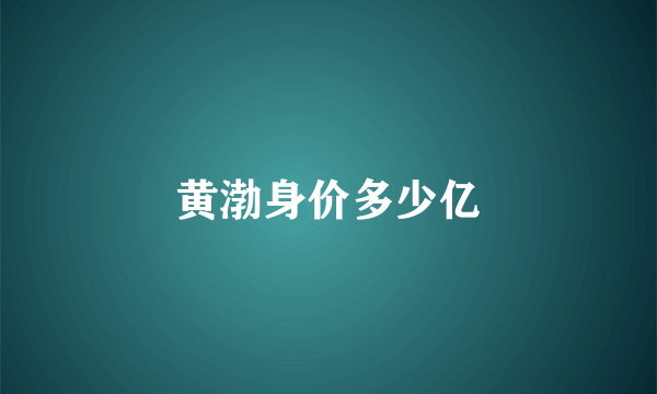 黄渤身价多少亿