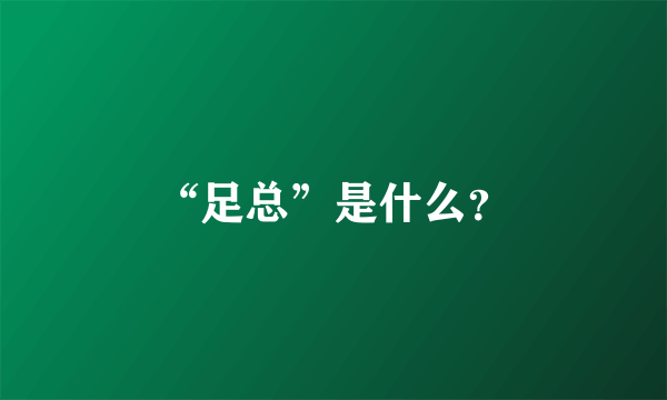 “足总”是什么？
