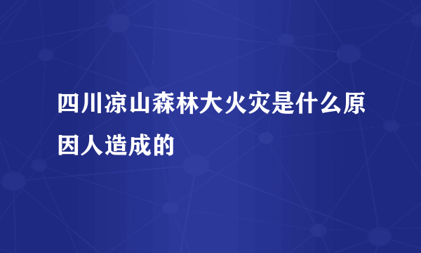 四川凉山森林大火灾是什么原因人造成的
