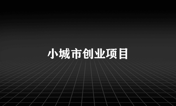 小城市创业项目