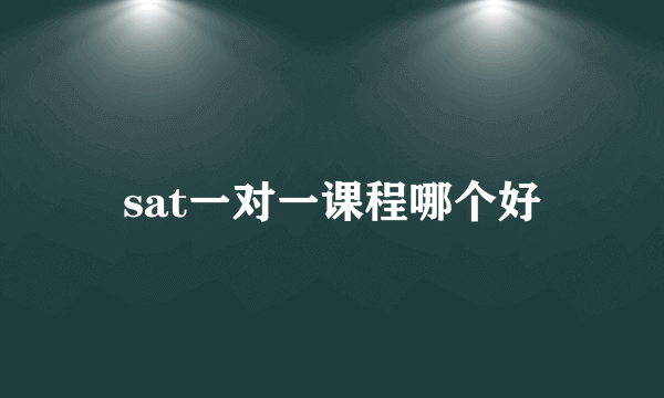 sat一对一课程哪个好
