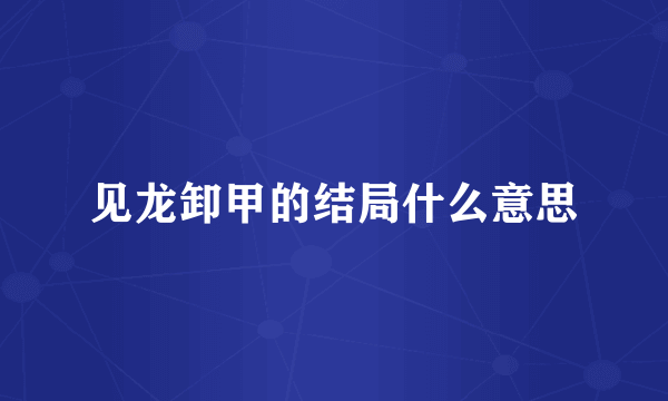 见龙卸甲的结局什么意思