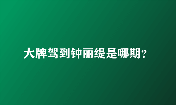 大牌驾到钟丽缇是哪期？